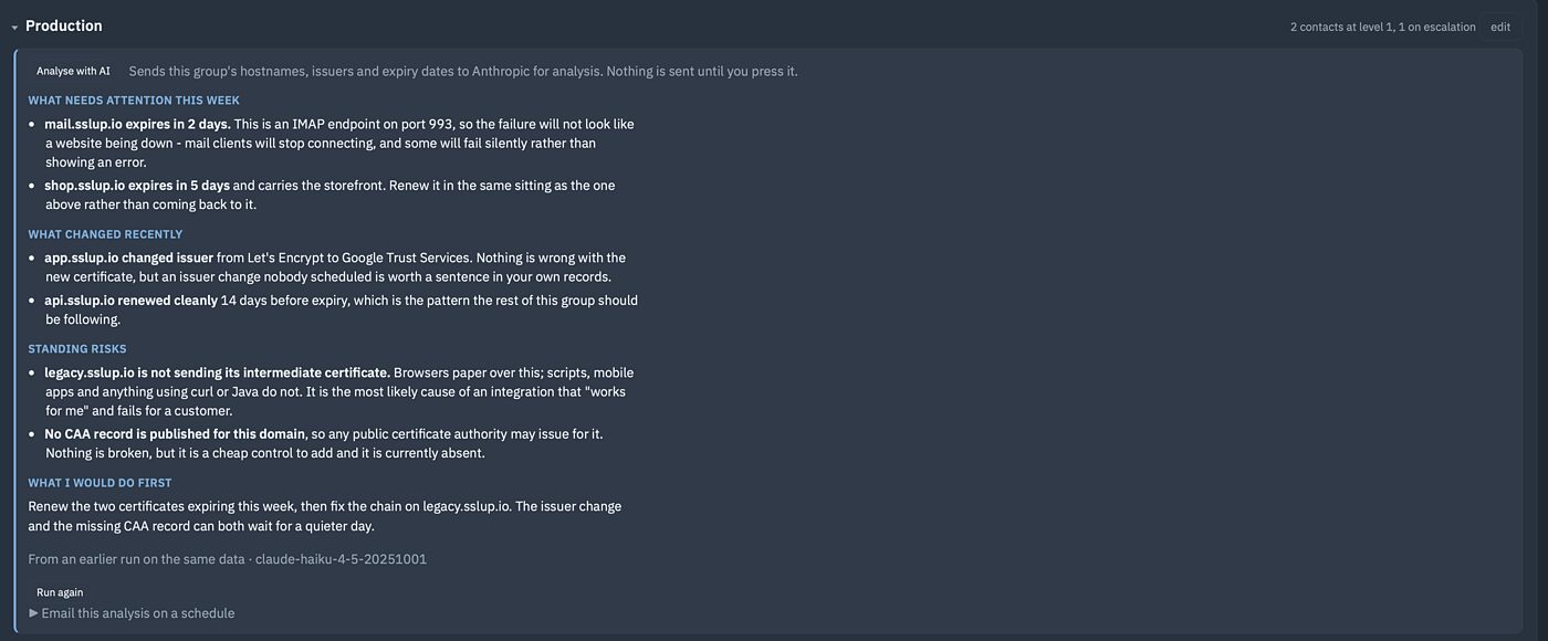 AI analysis of a certificate group: what to do first, a written summary, and anomalies found in the public certificate logs
